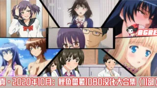 【2D/汉化/全动态】真·2020年10月鲤鱼番薯 1080HD汉化大合集 [桜都字幕组]【5G】