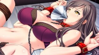 【ADV/KRKR】人妻蹂躙飼育 ～悲鳴が嬌声に変わるまで躾けてやる！～人妻蹂躏饲养化悲鸣为娇喘