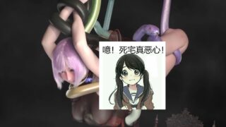 【3D】ATD资源1小时大合集，重口慎入！！！【2.6G/度盘】