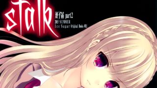 【本子】Ice Sugar (うた乃)] stalk 双子姦 part2  [樱丘汉化组]