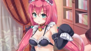【SLG】把猫耳女仆捡回家【无码】【官方中文】【动态CV】【触摸】【优质Cu】 【PC/安卓】【度盘】