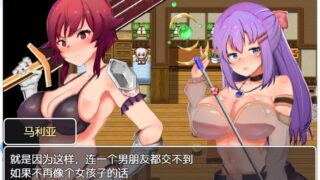 【RPG/汉化/度盘云/秒链/PC/安卓/恶堕】英雄姐妹