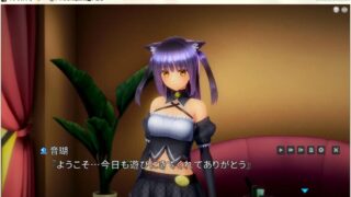 【3D】Insult Order～生イキにゃん娘の快堕メニュー～【秒传/无修正】