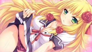 【拔作/汉化/全动态】风俗学园授课 必修课是H实战技巧 云汉化版