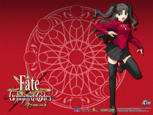 【ADV】fate/stay night （TYPE-MOON发行的文字冒险游戏）