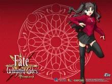 【ADV】fate/stay night （TYPE-MOON发行的文字冒险游戏）