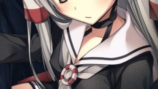 【本子】(C86) [KAROMIX (karory)]~天津风~