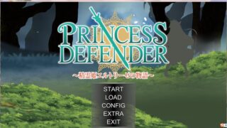 【RPG】プリンセスディフェンダー ～精霊姫エルトリーゼの物語～【秒传/生肉】