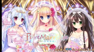 【KRKR】Pure Marriage 红线物语[度盘/750.19MB]