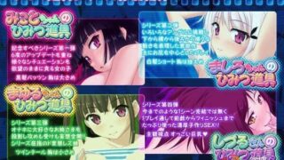 【KRKR/全动态】大家的エロ秘密工具【全CV/1.6G】