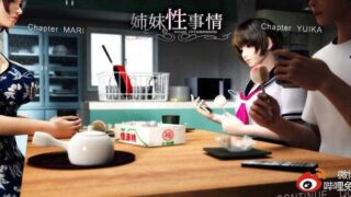 【游戏】动漫  双端梅麻吕：姐姐和妹妹的性事！游戏+动画AI解码版