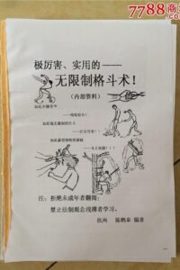 【秘籍】无限制格斗术（补档）【度盘】