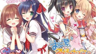 【ADV】哥哥禁止使用右手1和2