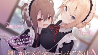 【ASMR】[ほわいとばーど] 押しかけメイドのハーレムご奉仕♪どちらのメイドがお好みでちゅか? [RJ288577]【2.7G】
