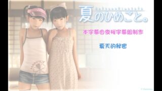 【KRKR】夏のひめごと（补档+动画提取）【磁力】