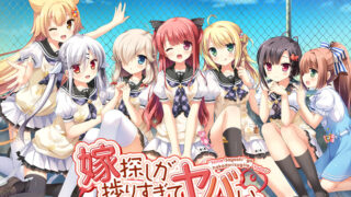 【PC/ADV/汉化】新娘太好找了我很方！/嫁探しが捗りすぎてヤバい 【度盘/2.87GB】