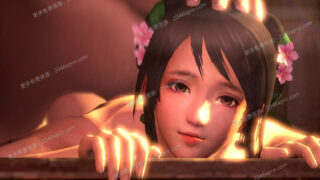 【3D】真三国无双+战国无双系列 3D同人作品集【女将沦陷】【稀有整合】