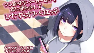 【汉化音声】将街上遇到的毒舌傲慢萝莉骗回家，尽情地交欢CV：兎月りりむ。(Strike个人汉化/RJ302994/1.2G)【OD+毒盘+秒传】