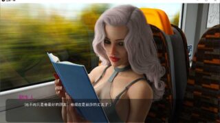【SLG游戏】过去一瞬 Ver0.31精翻汉化版【安卓+PC】【度盘+微云】