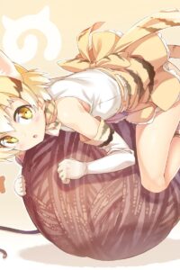 【小说】从huang网爬的5万篇小说【度盘523MB】