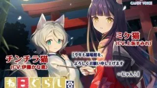 【ASMR】[CANDY VOICE] 【新春スピンオフ】ねこぐらし。〜猫鳴館の正月〜ミケ猫&チンチラ猫【CV: 上坂すみれ、伊藤かな恵】 [RJ310349]【1.8G】