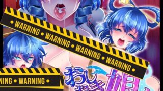 【HAG/全动态】ぬるぬる坊主极品东方同人游戏：全系列合集[封兽鵺+霍青娥]【2G/新作】