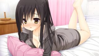 【CG】魔女的夜宴完整CG图包【度盘/秒传/2.88G】