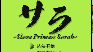 【像素风/角色扮演/steam/Slave 】Princess Sarah