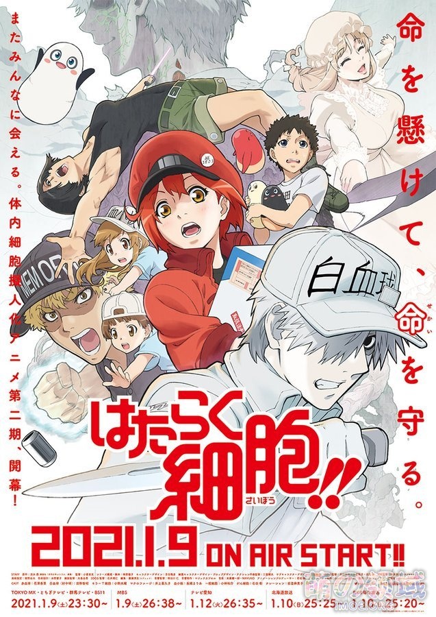 TV动画《工作细胞》将于2021年2月13日在央视CCTV6电影频道播出 ACG综合 - IMOE.ORG TV动画《工作细胞》将于2021年2月13日在央视CCTV6电影频道播出- 萌の领域