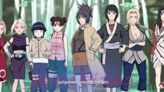 【PC/安卓】忍者后宫-异族崛起 第2章 Ver1.02.b 精翻汉化作弊版（目录可看全CG）+第2章初始阶段存档