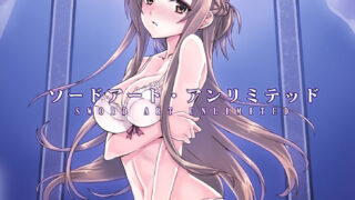 【本子】刀剑神域·亚丝娜 の 十大小本本【221P/184M/度盘】