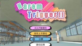 【FPS/全动态】Harem Trigger!!  V1.20 官中步兵【4G】