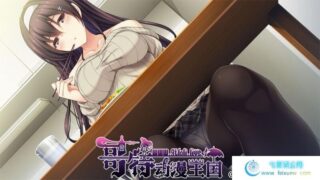 【姐系拔作/汉化】渲染姐姐的色彩~姐姐在身边就满足了！汉化硬盘版+存档[新汉化/1.7G]
