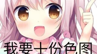 【里番】2013年里番合集 【8.32G】