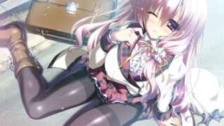 【CG】12の月のイヴ完整CG图包【度盘/秒传/875M】
