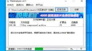 【软件推荐】FileAnalysis 【度盘】