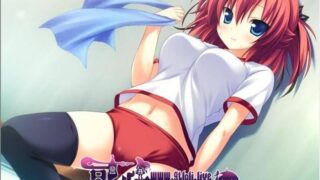 【神级拔作/汉化/全动态/软房子】绝对遵守☆强制造人许可证 完整汉化【新汉化/3.3G】[ADV游戏]