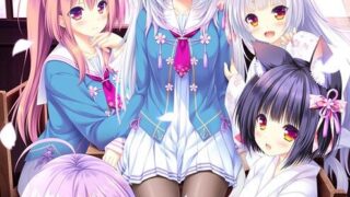【PC/ADV/汉化】猫咪相随★恋樱纷飞 / ねこツク、さくら。【度盘+萌盘/3.62GB】
