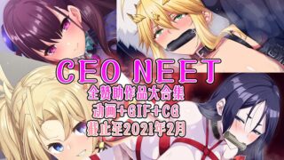 【2.5D同人/全动态】尼特社长-CEO NEET：内部作品步兵大合集[截止至21年2月]【5.7G】