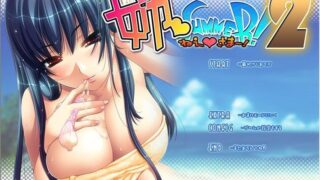 【AVG】姐SUMMER！2 汉化免安装版[548M]