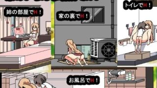 【SLG/生肉/安卓】和家里蹲死宅女姐姐的エロ生活！【度盘】