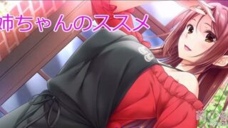 【AVG】姐姐的推荐～姐姐的恶作剧性生活～ 汉化免安装版[1.28G]