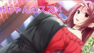 【AVG】姐姐的推荐～姐姐的恶作剧性生活～ 汉化免安装版[1.28G]