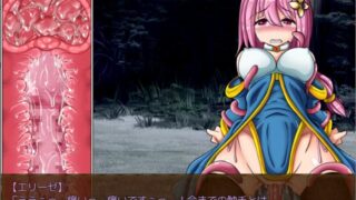【RPG】エリーゼの性女！？聖女！！な冒険記（生肉   1.2G）