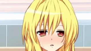 【2.5D/转】To love ru Ver v1.0.3 FPS50【1V/度盘/820M】