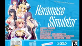 【安卓直装】模拟后宫....