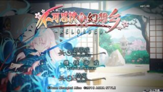 【RPG/东方同人】不可思议的幻想乡-附全DLC 硬盘版【15G】