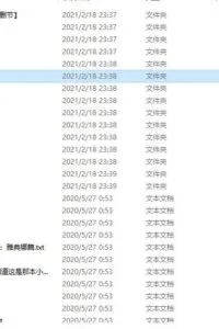 【小说】部分二次元网文的VIP群“里番”收集【萌网盘/100.9M】