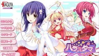 【拔作ADV/汉化/全CV】[竹子社]怀孕大作战 精翻汉化硬盘版+全存档【妙传】