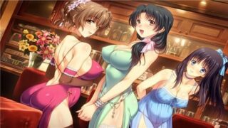 【SLG】妻中蜜3（包括本体动画全cg存档攻略，还有纯爱篇+寝取篇两个追加版）